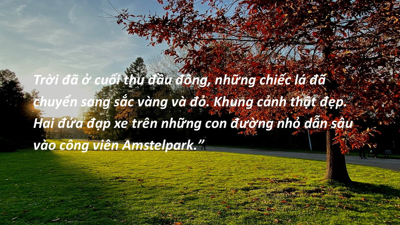 8. Công viên Amptel